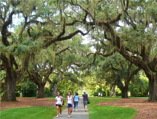Things To Do Brookgreen Gardens